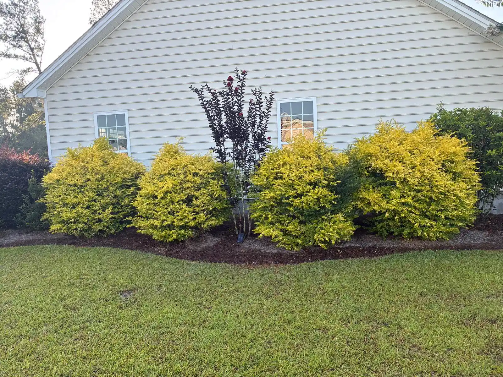 Lawn Mowing in Douglas GA